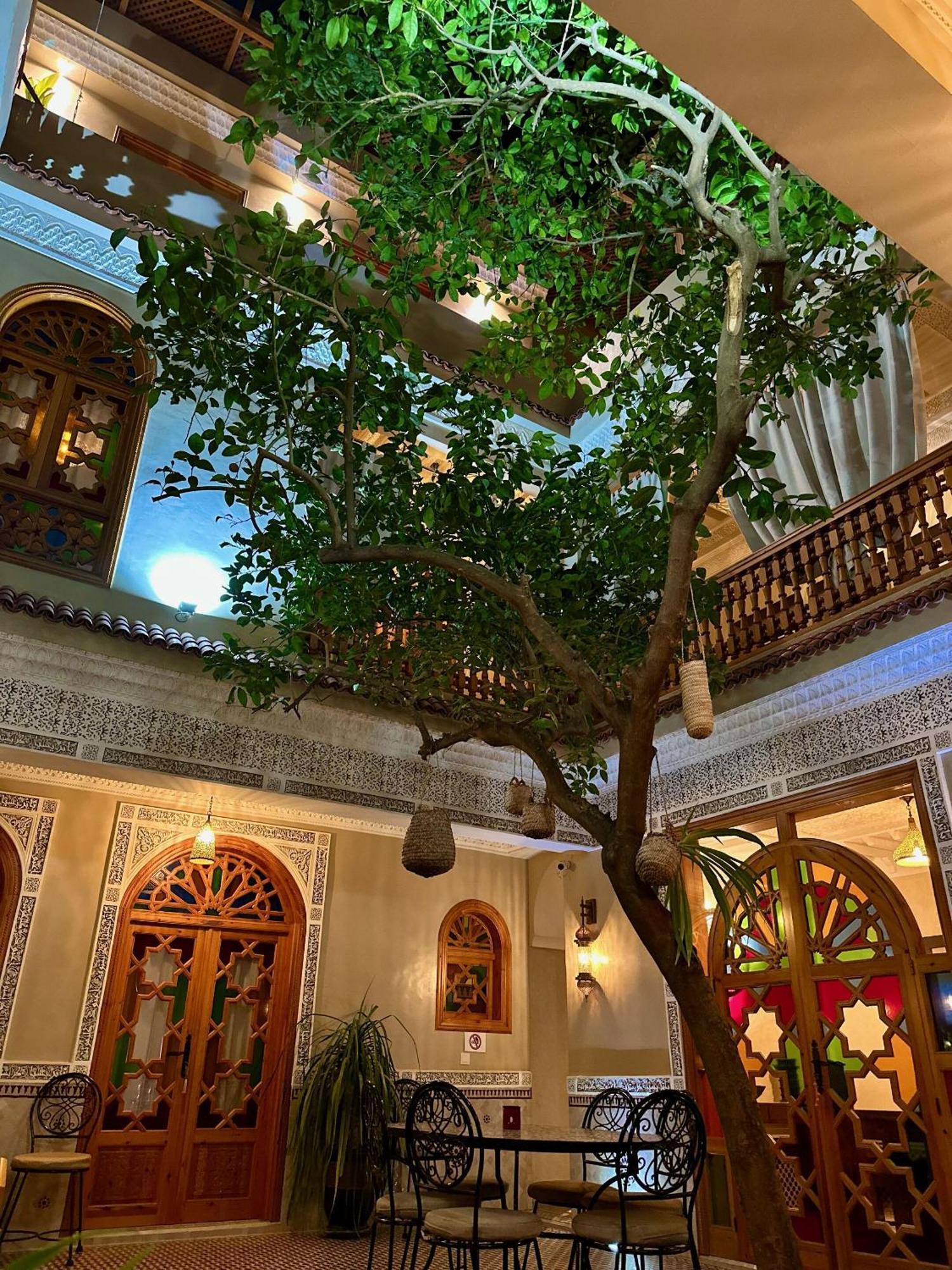 Riad Shajara Marrakesh Exterior photo